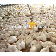 fully automatic chicken equipment for mini poultry farm